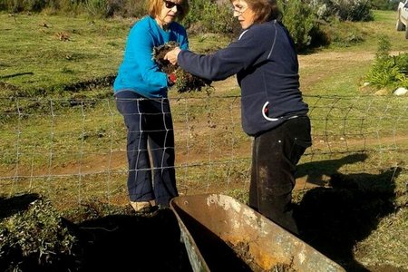 Gansbaai What a difference a Mandela Day makes 2